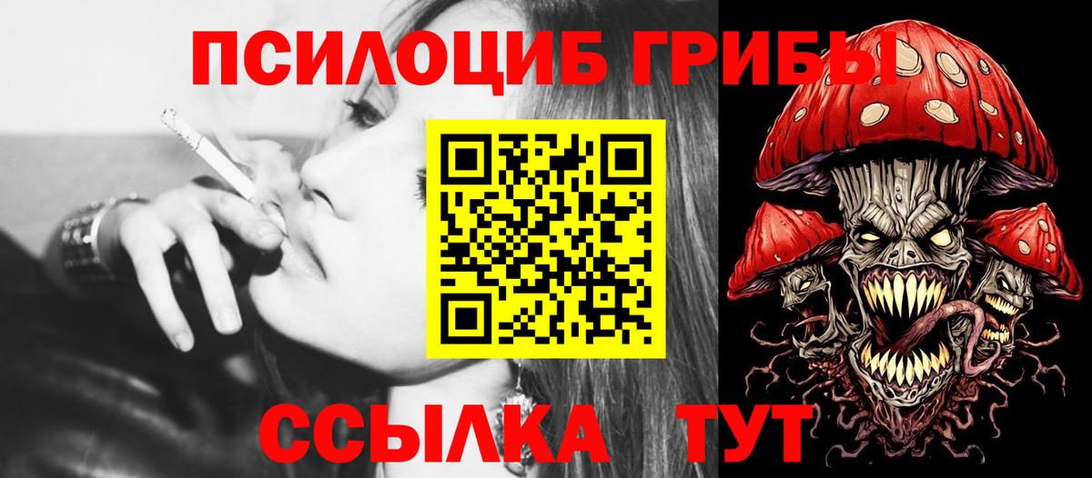 Галлюциногенные грибы мицелий Новочеркасск