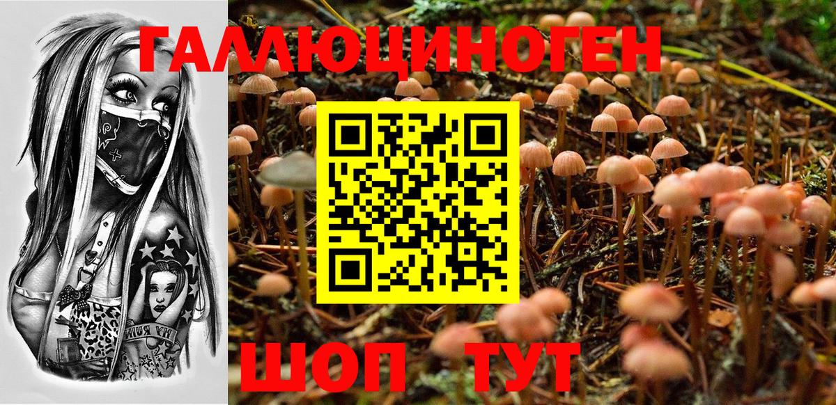 Псилоцибиновые грибы мухоморы  Вход с VPN  Галлюциногенные грибы GOLDEN TEACHER  Новочеркасск 